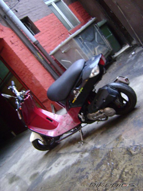 Photo 1551517