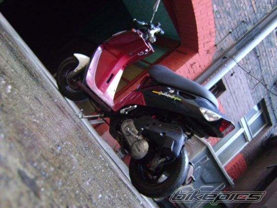 Photo 1551523