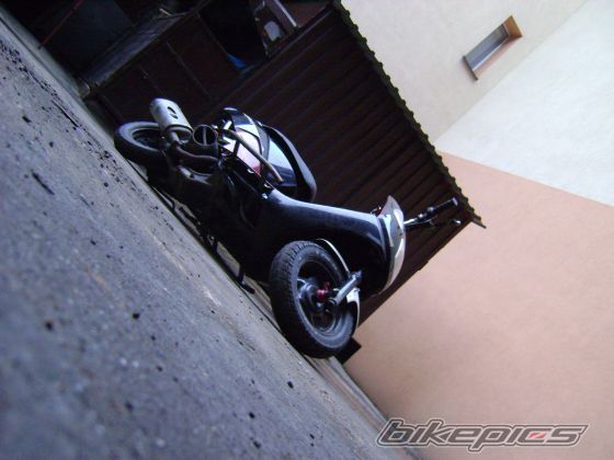Photo 1551524