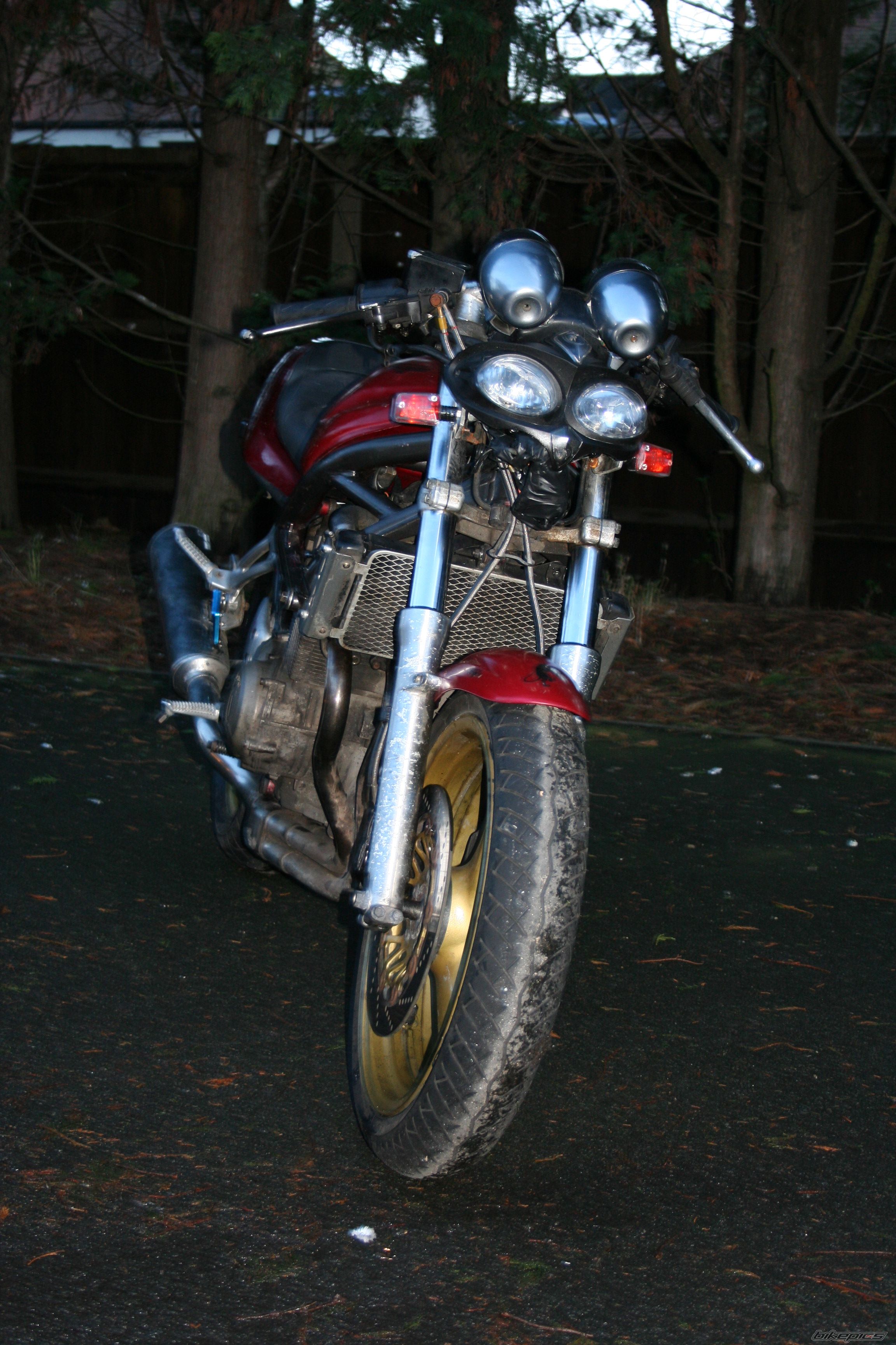 Photo 1551554