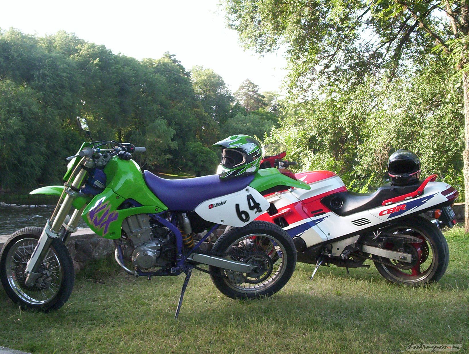 Photo 1551564