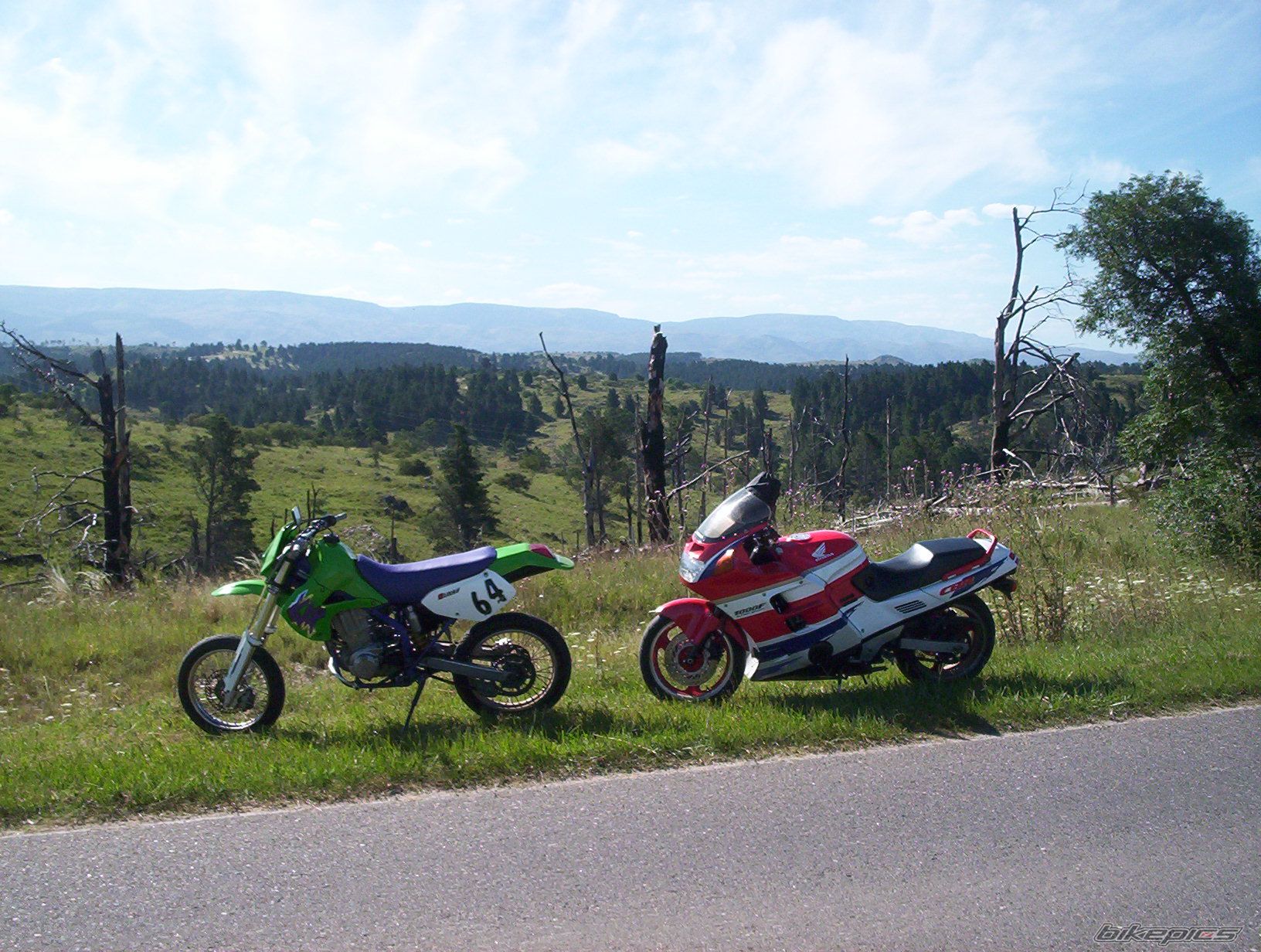 Photo 1551580