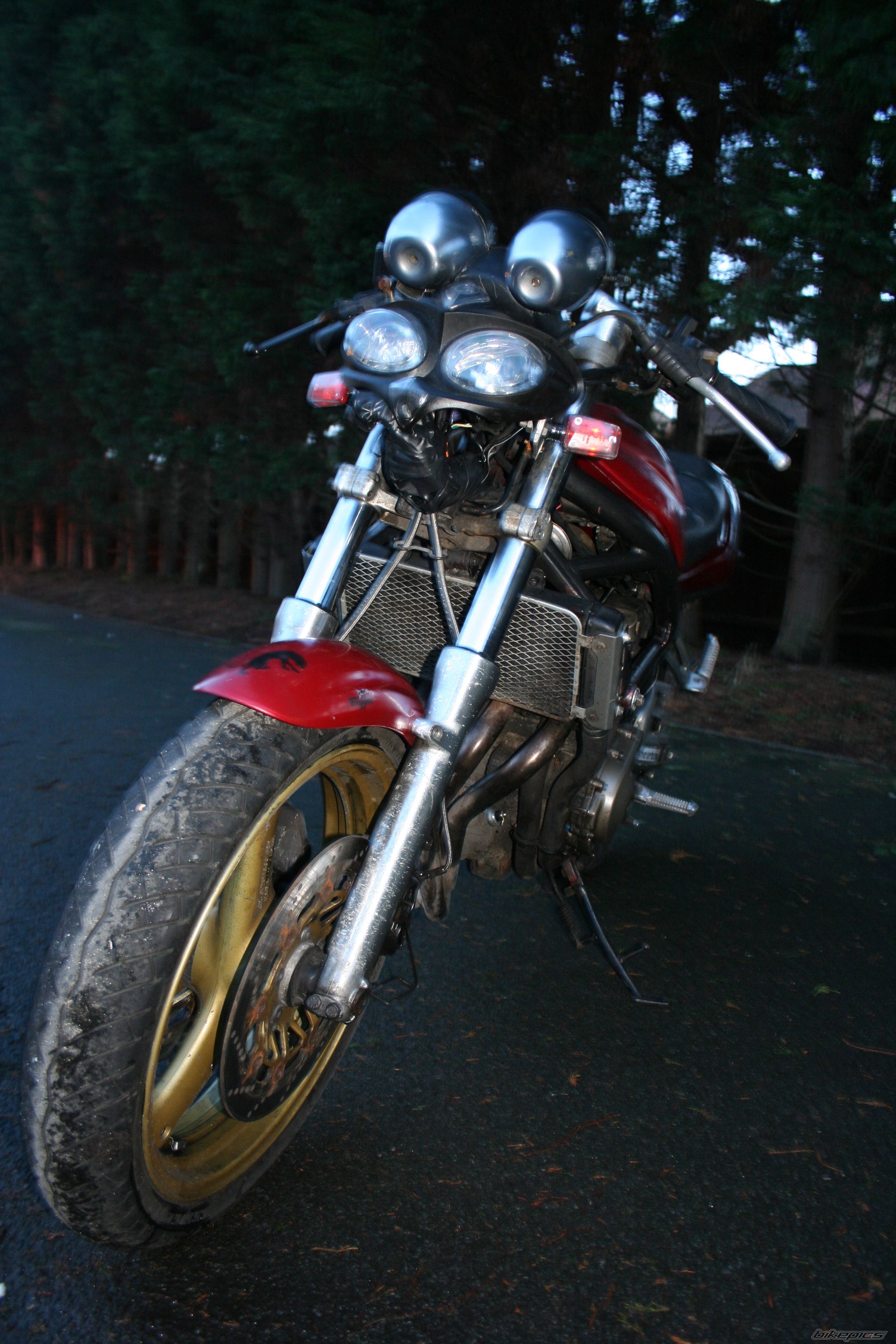Photo 1551581