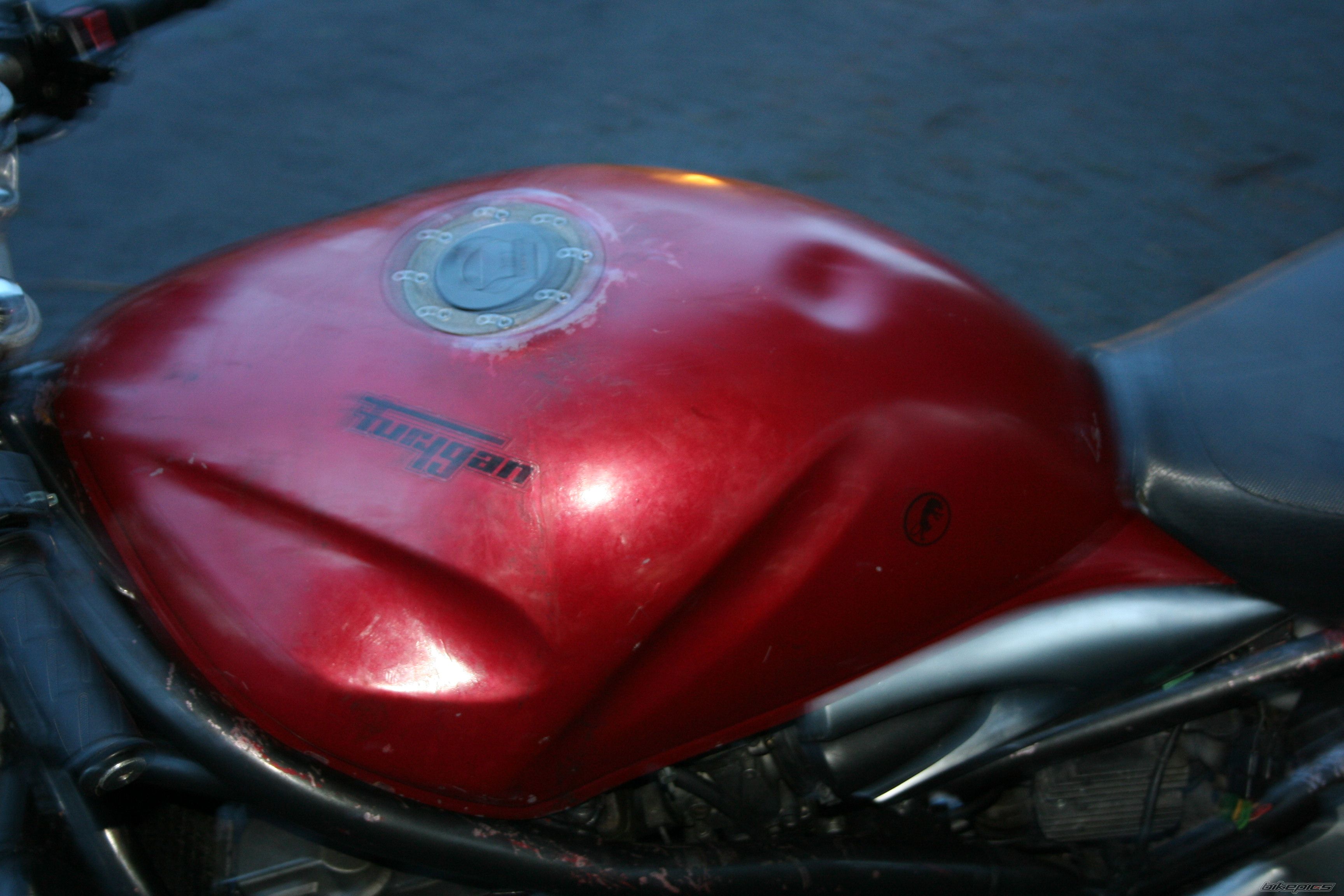 Photo 1551583