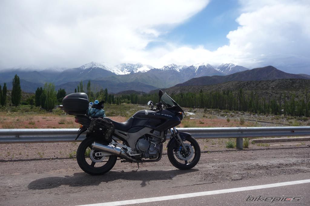 Photo 1551593
