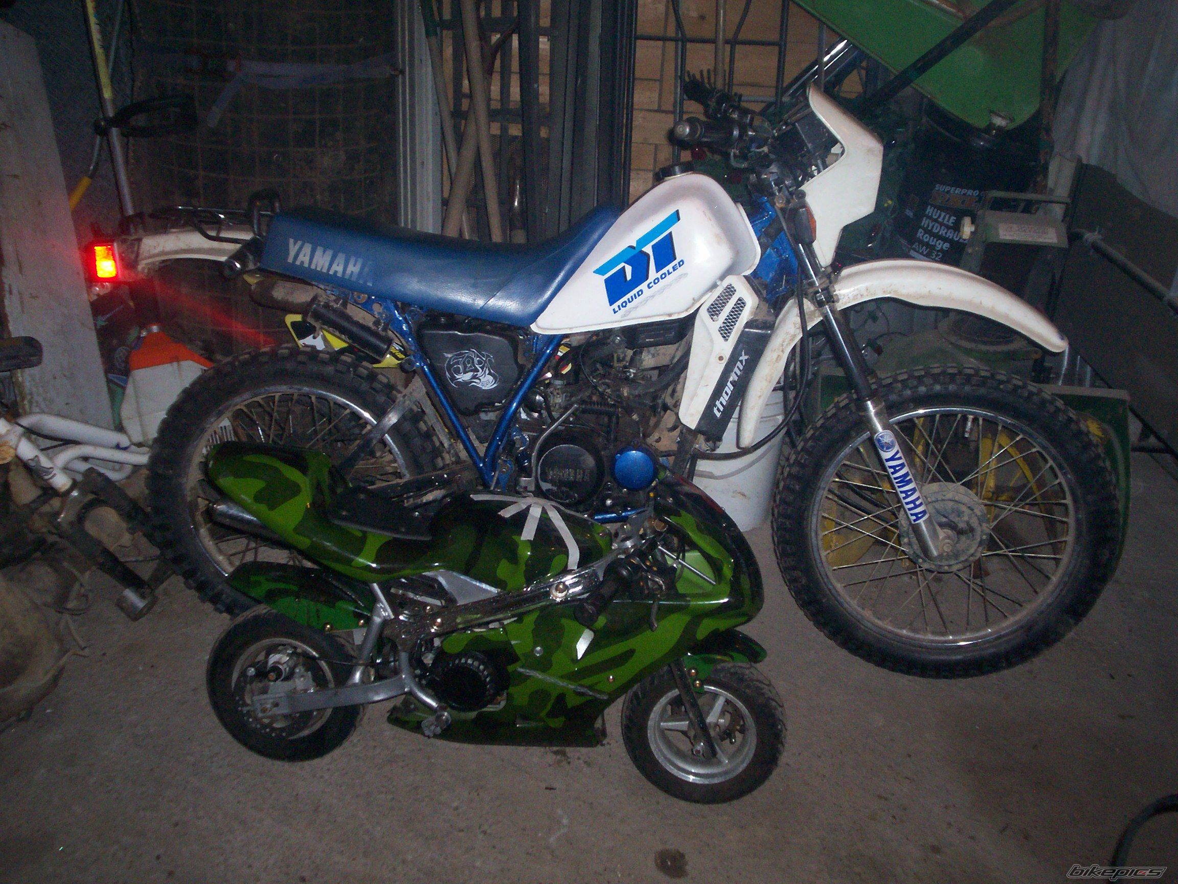 Photo 1551676