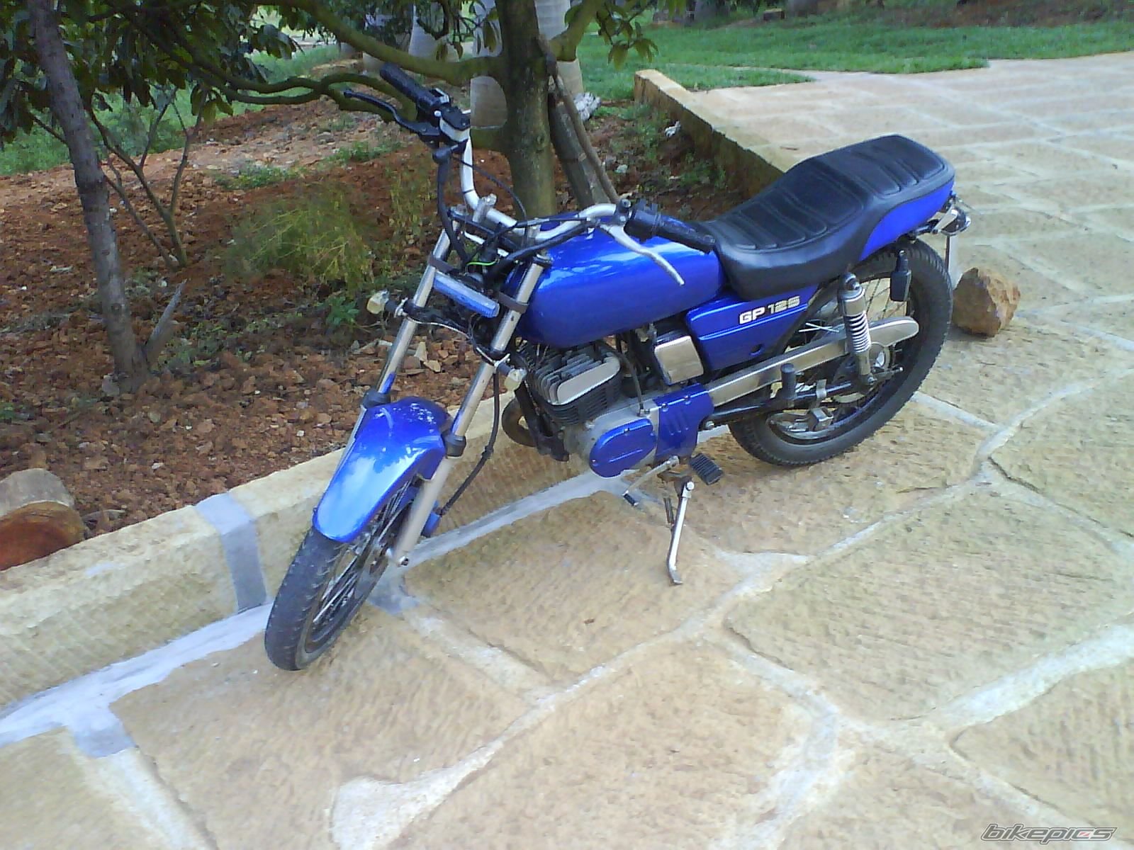 Photo 1551684