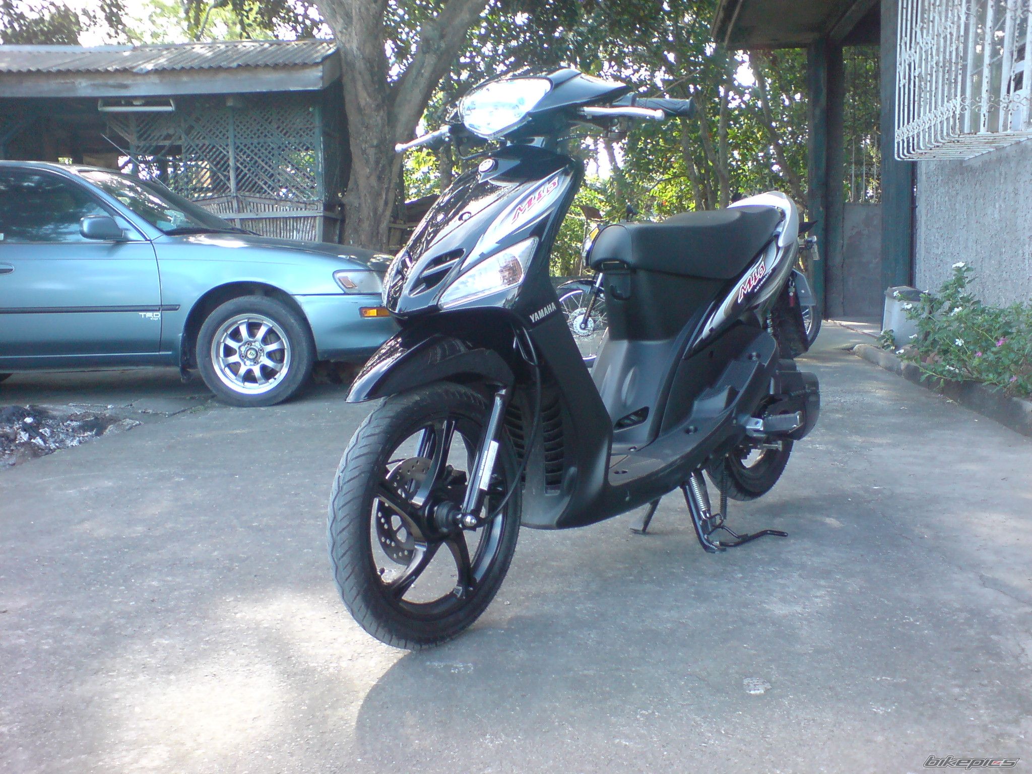 Photo 1551691