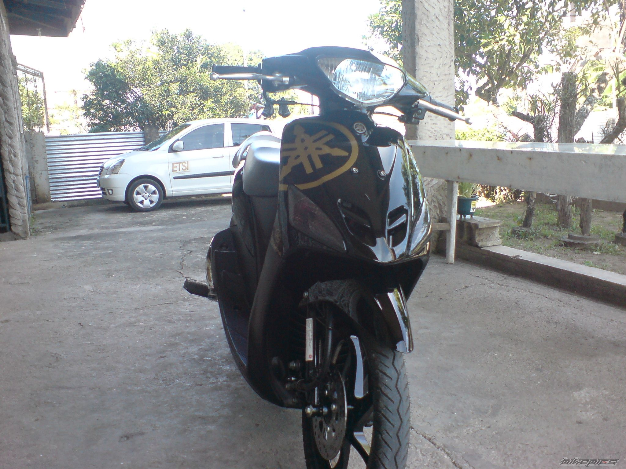 Photo 1551696