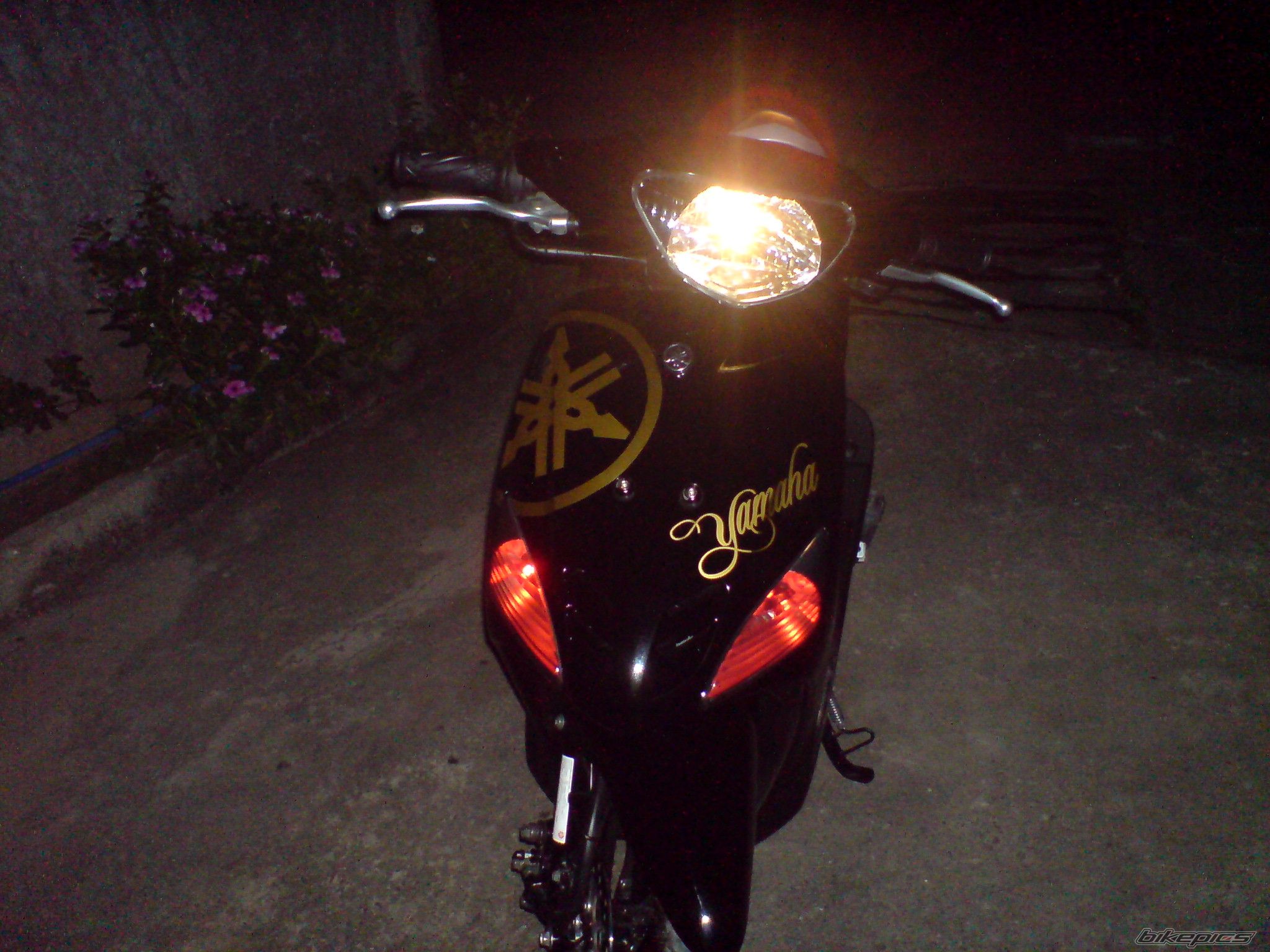 Photo 1551697