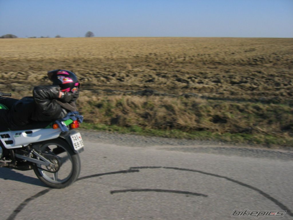 Photo 1551733