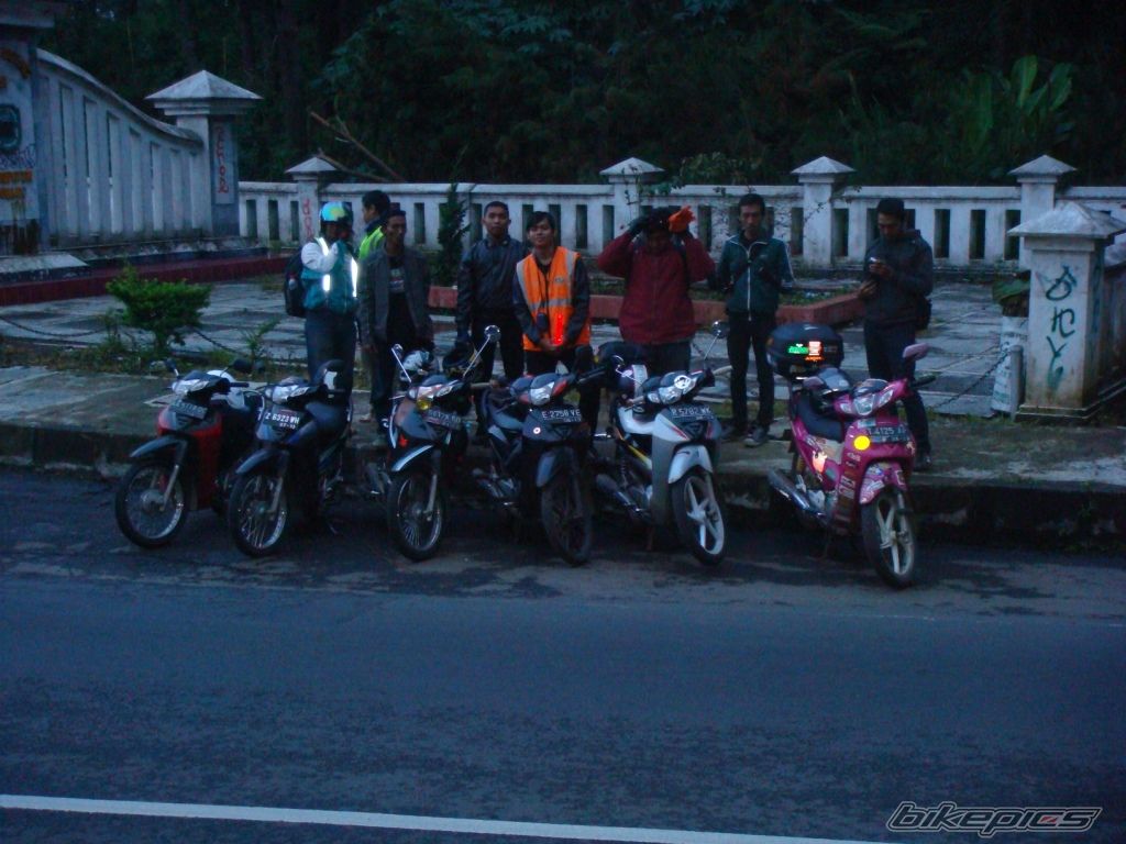 Photo 1551817