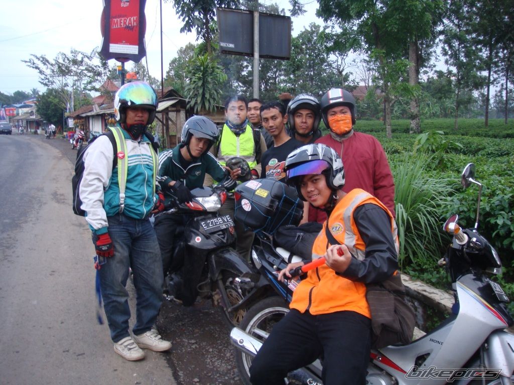 Photo 1551819