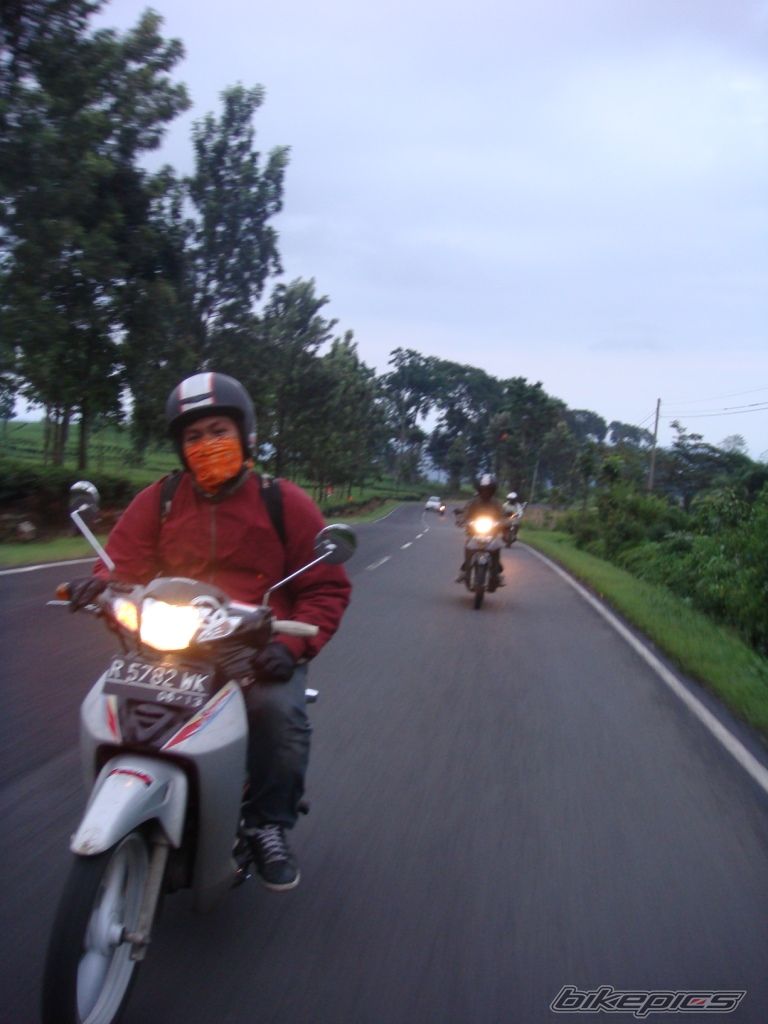 Photo 1551839