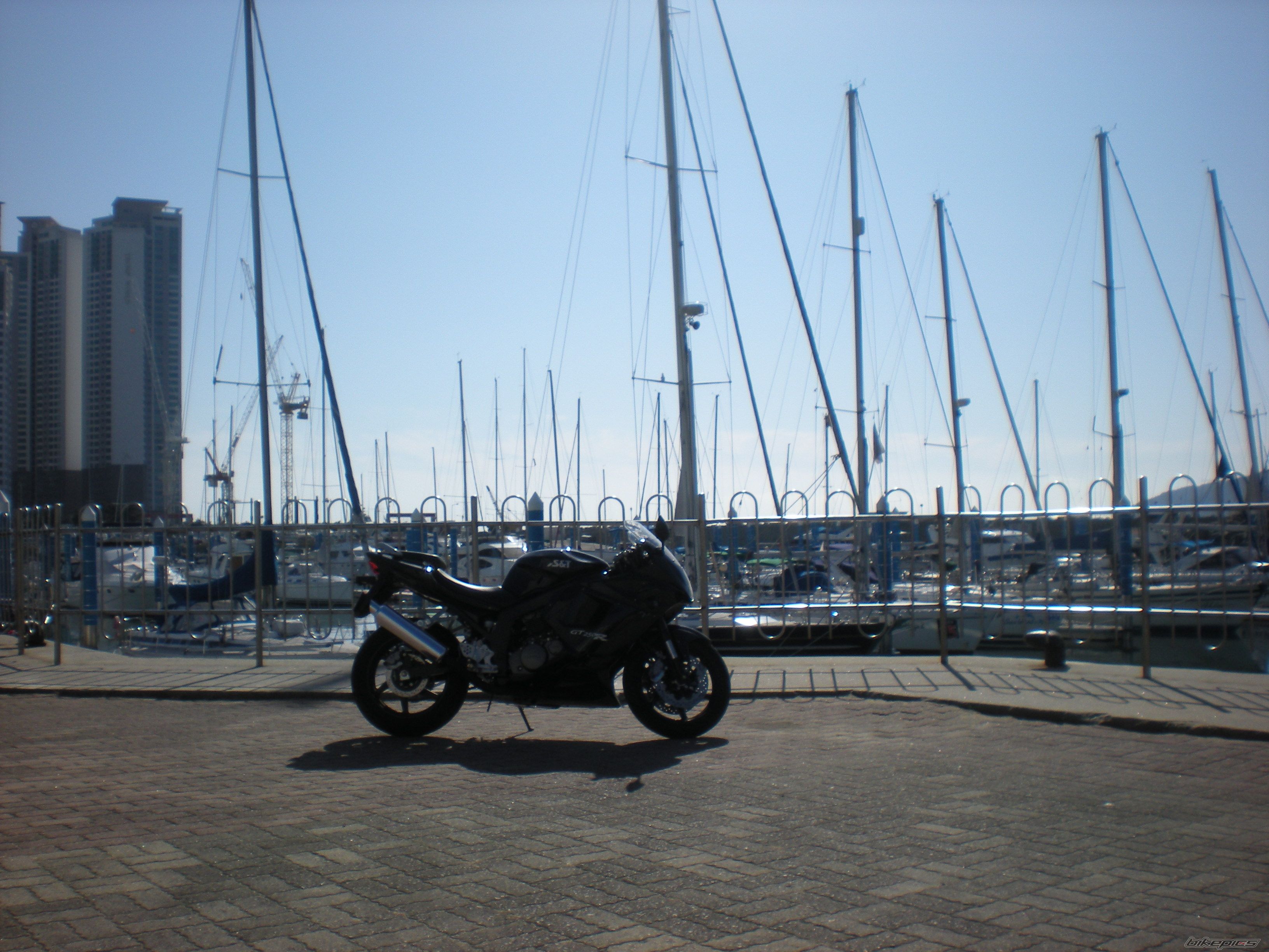Photo 1551842