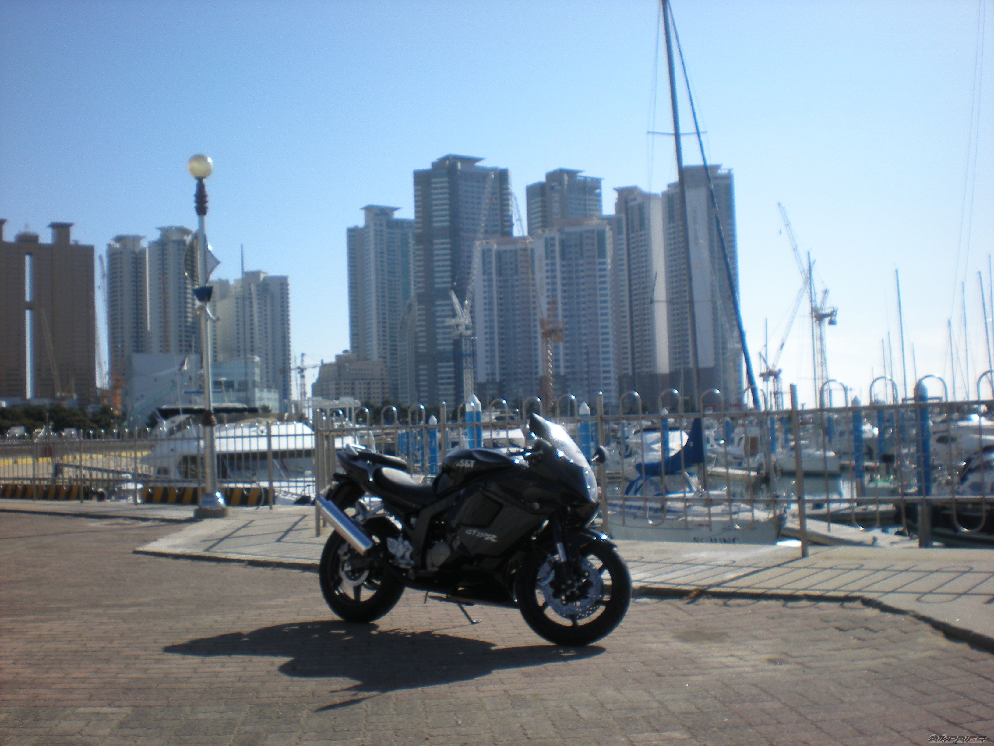 Photo 1551844