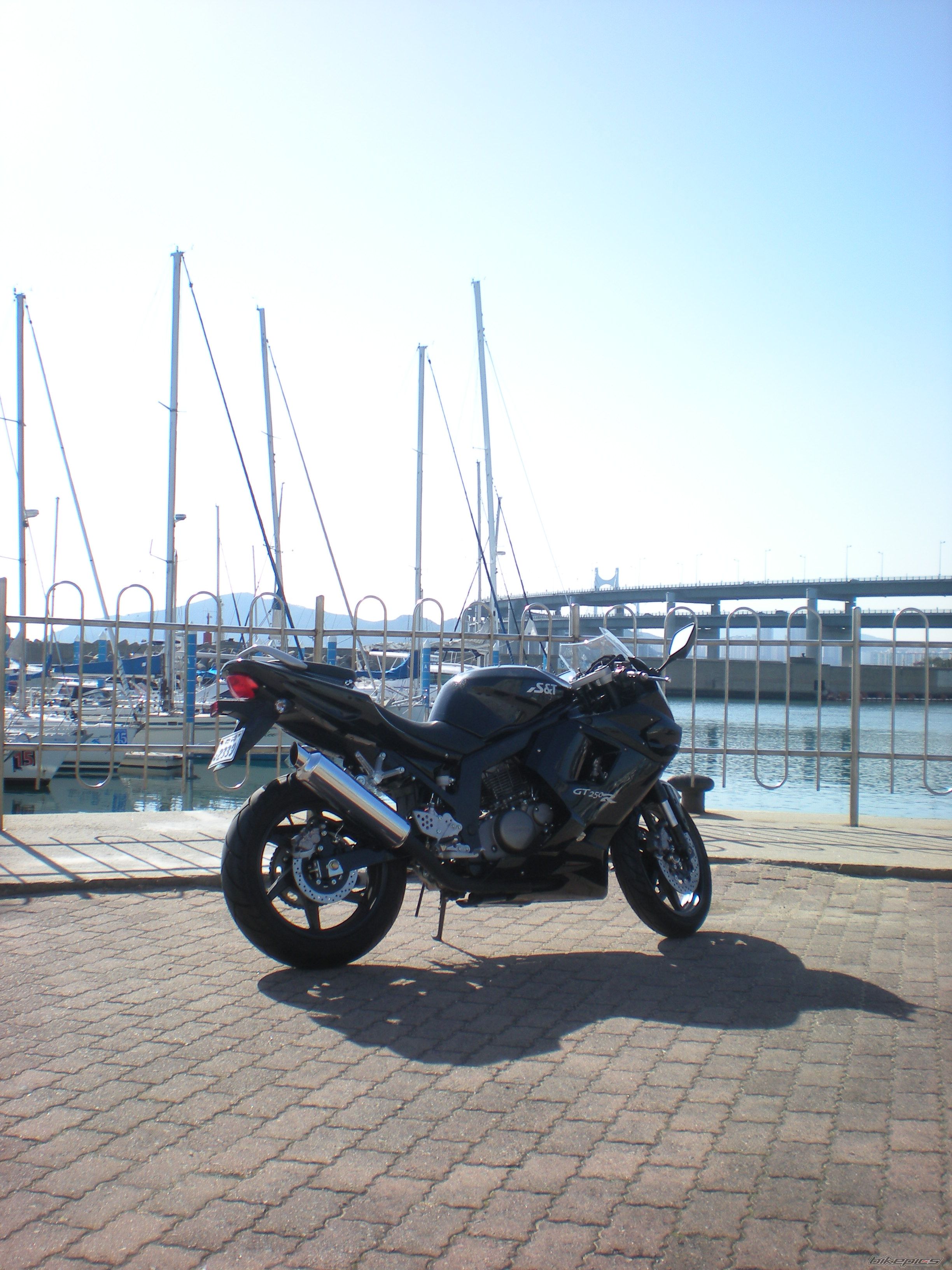 Photo 1551846