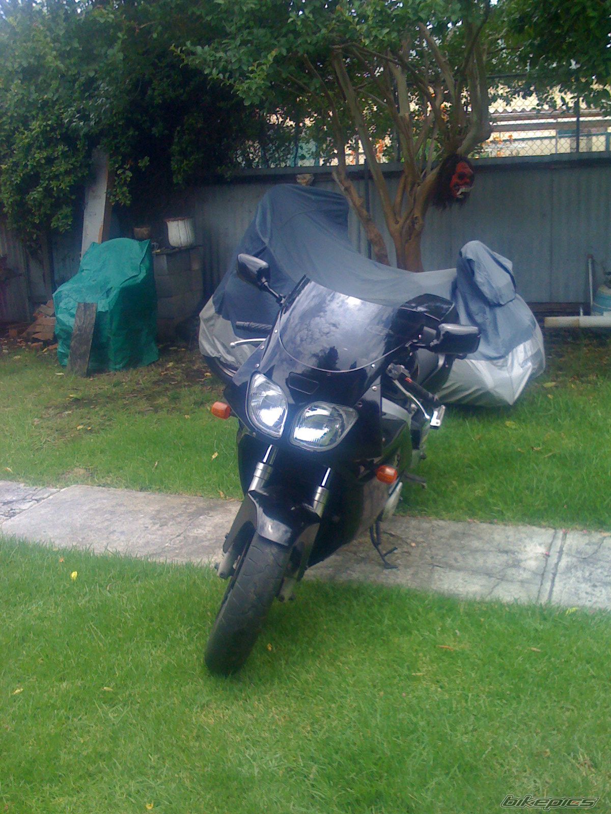 Photo 1551864