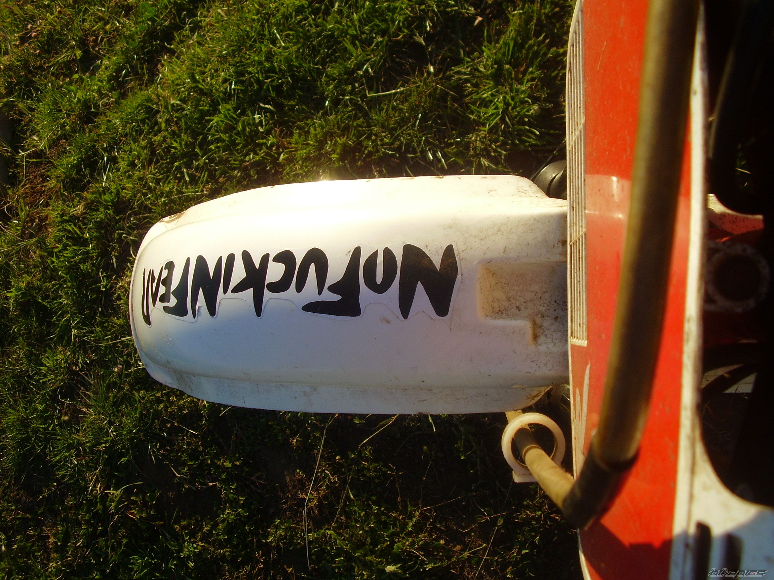 Photo 1551934
