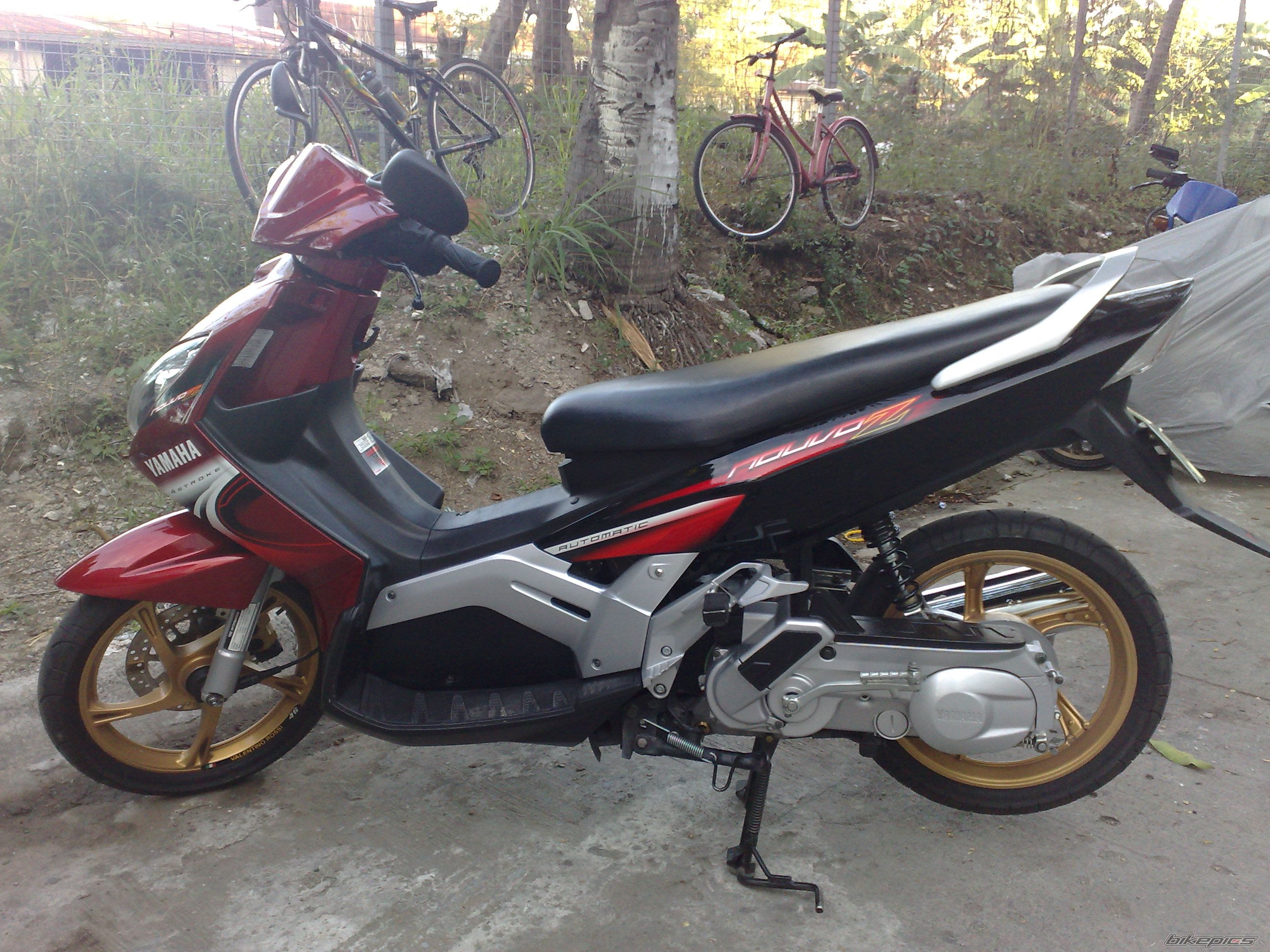 Photo 1551940