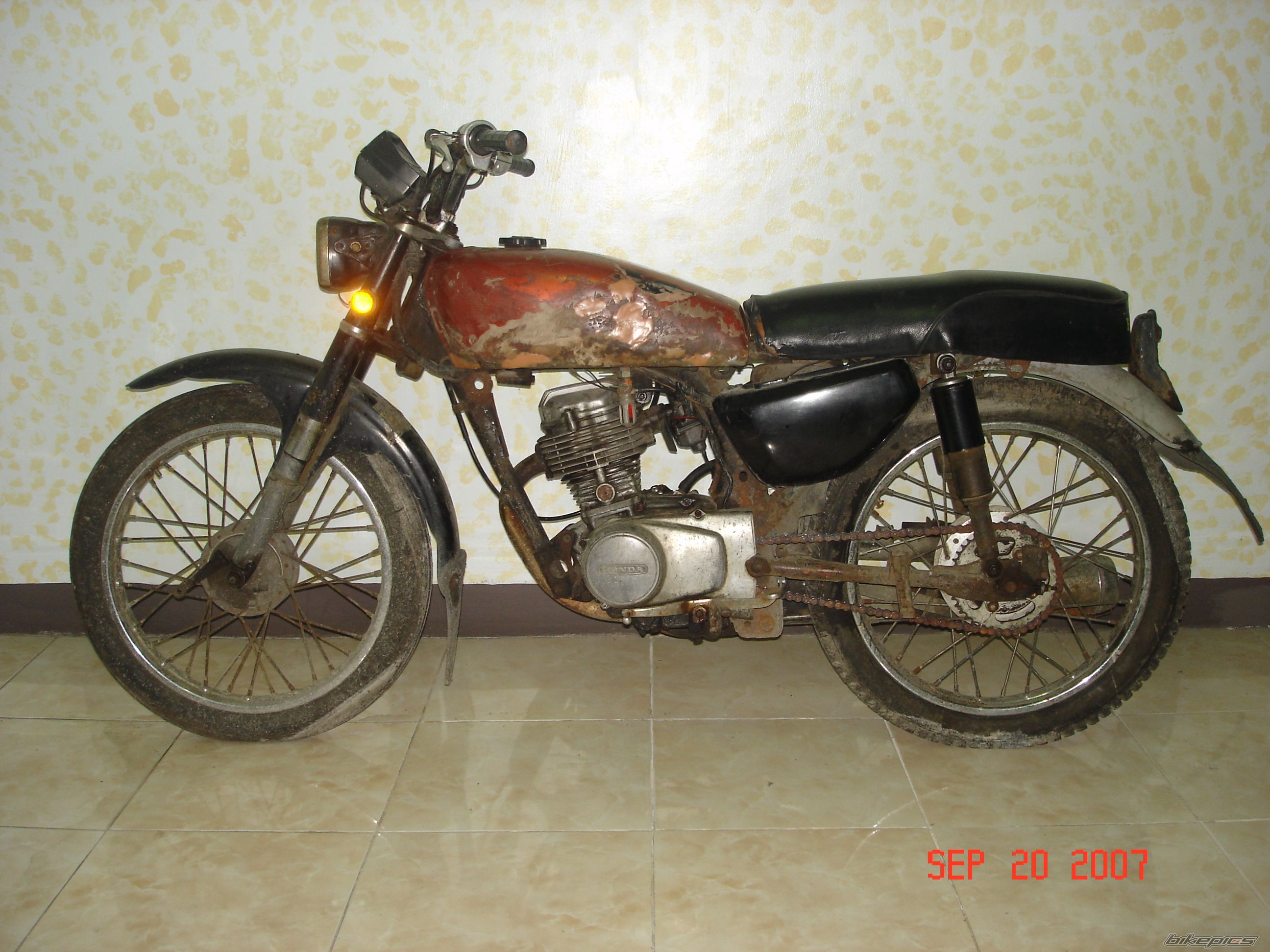 Photo 1551946