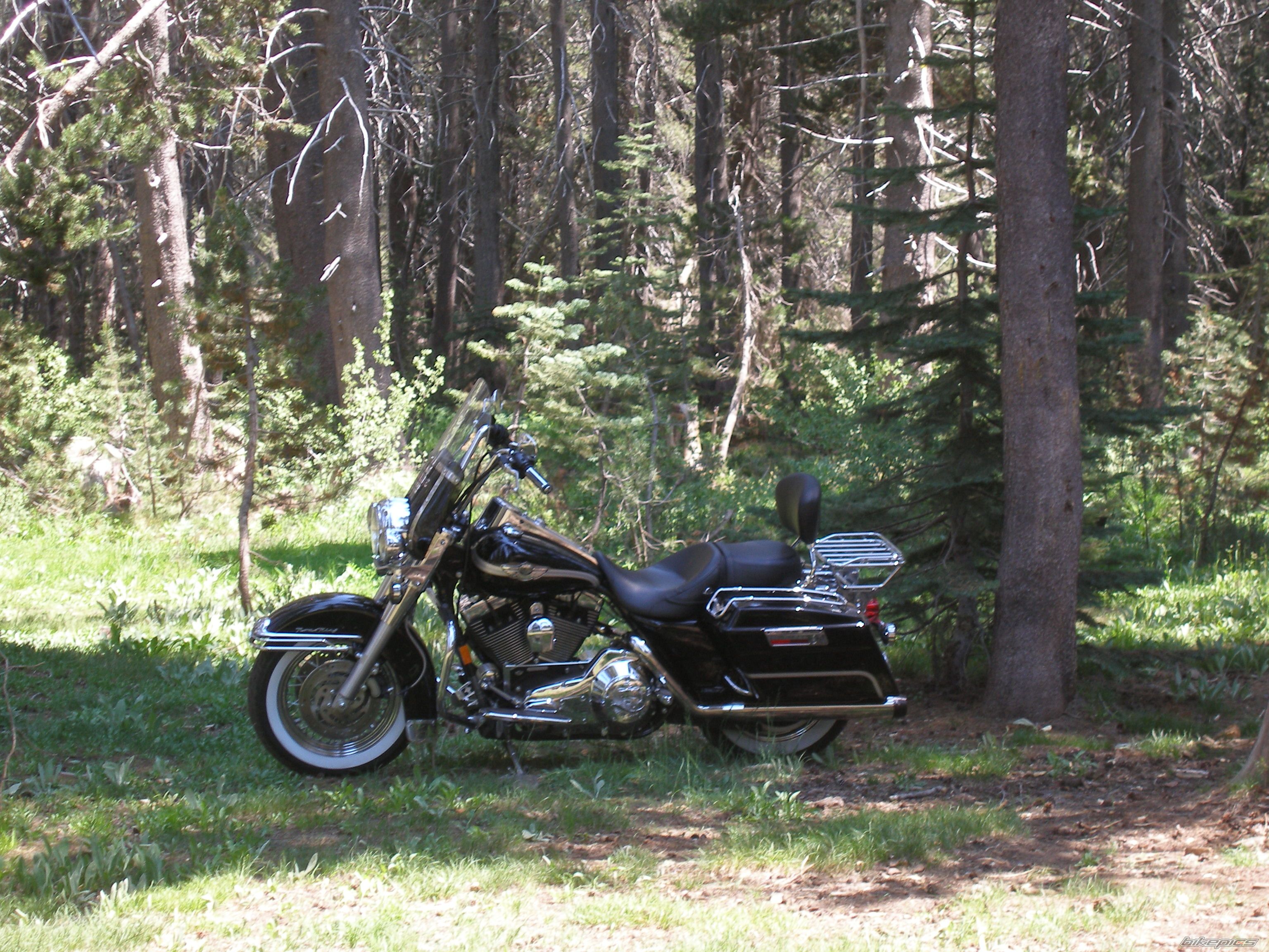 Photo 1551985