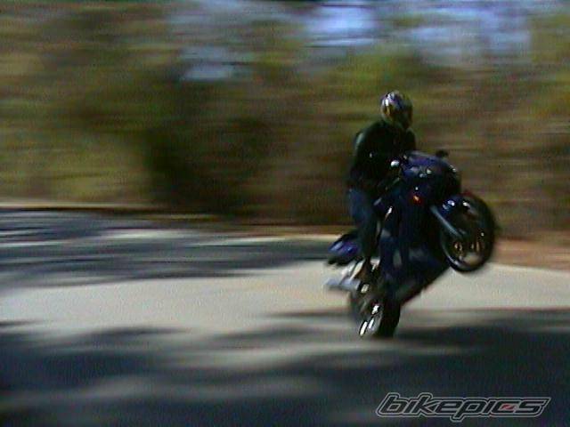 Photo 15521