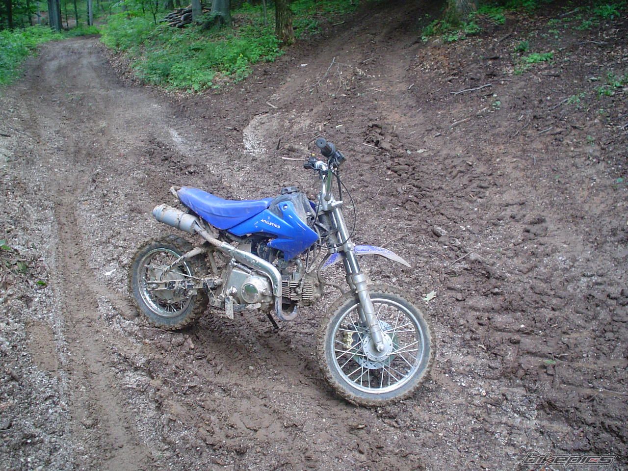 Photo 1552223