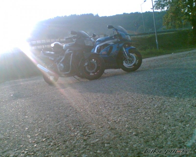 Photo 1552256