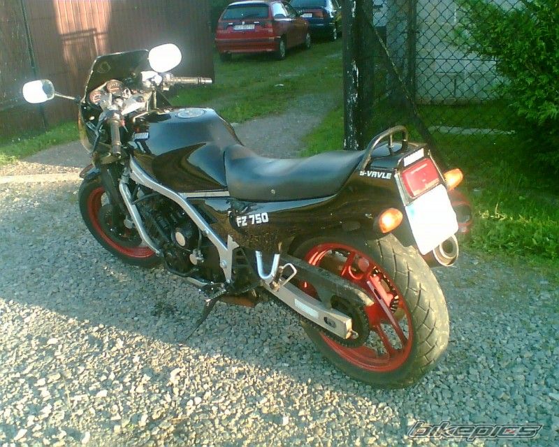 Photo 1552260