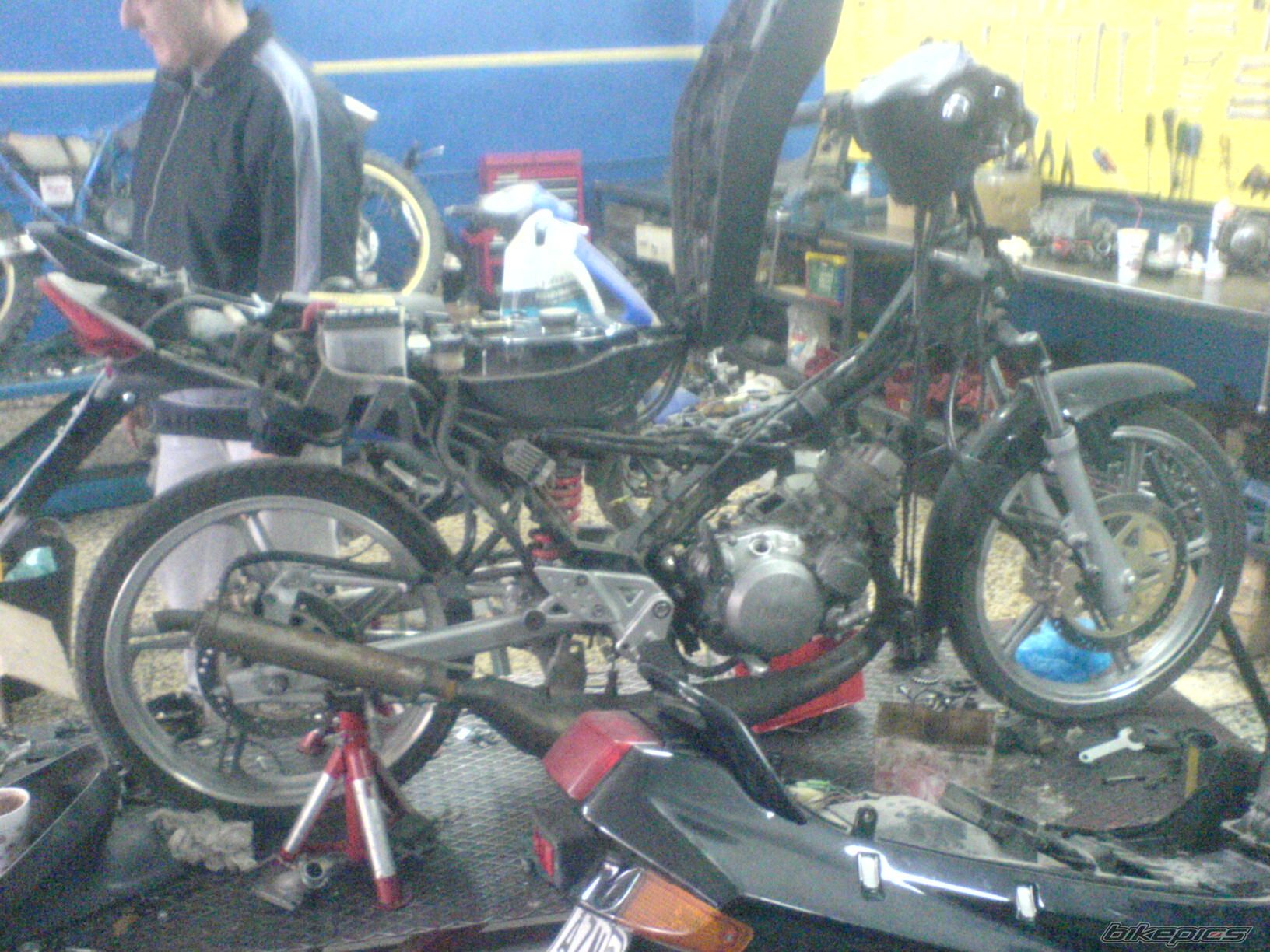 Photo 1552290