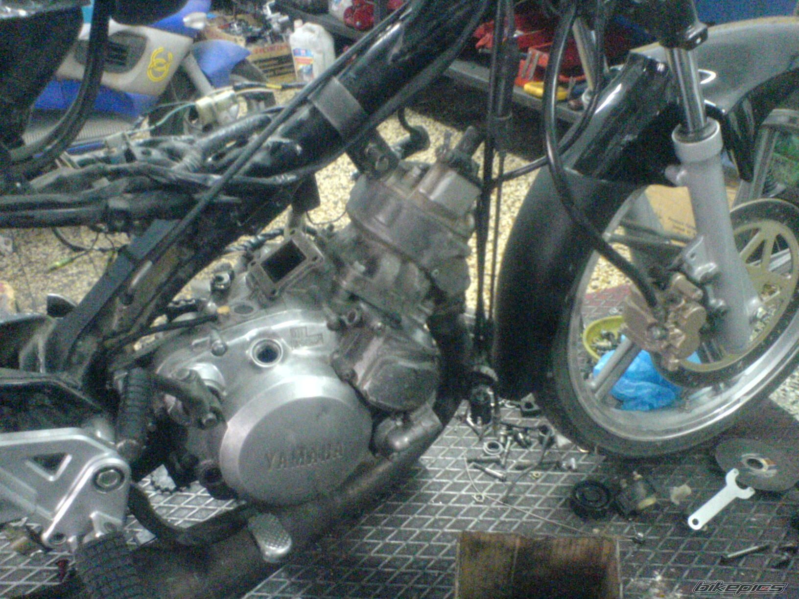Photo 1552292