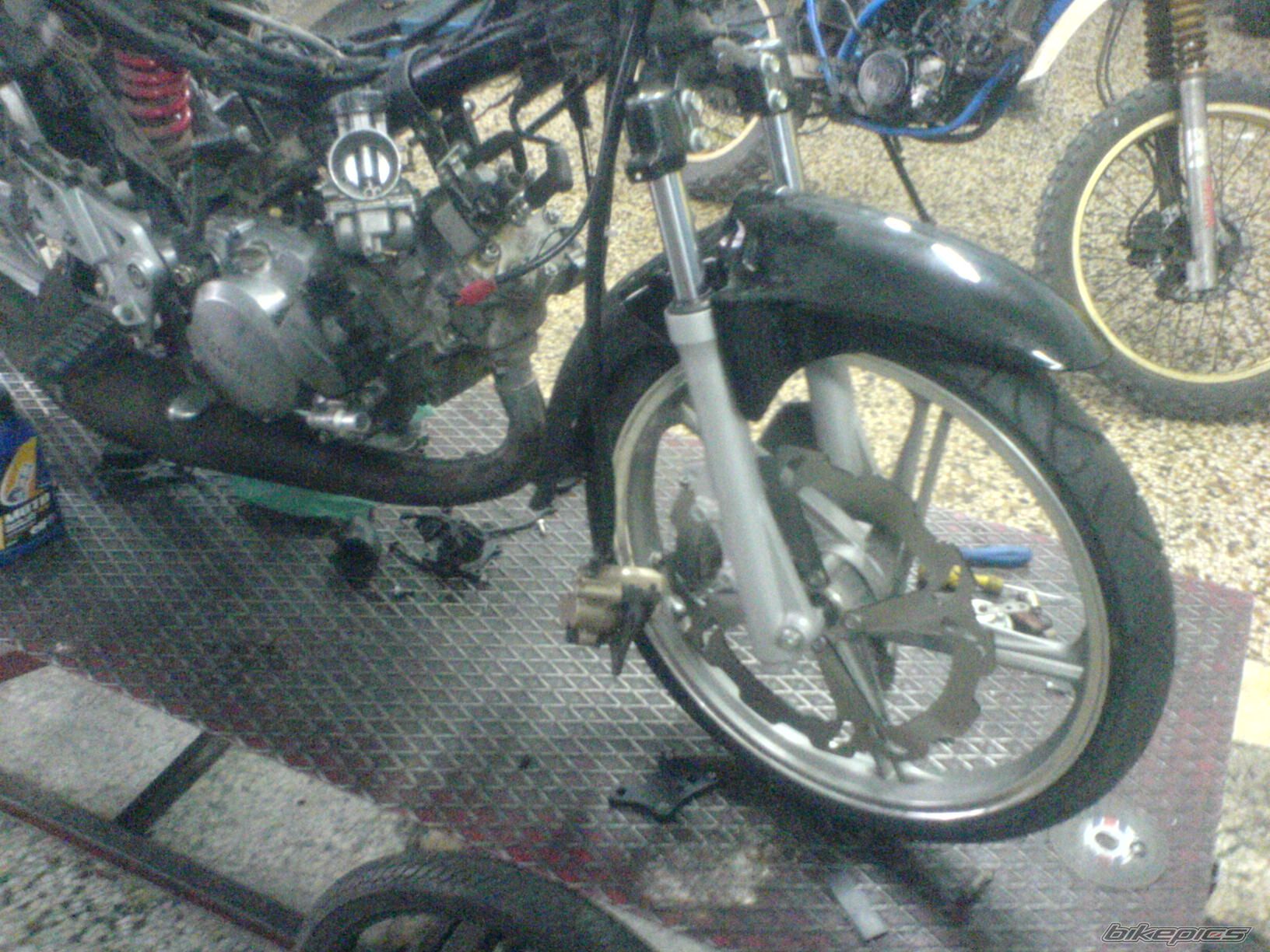 Photo 1552296