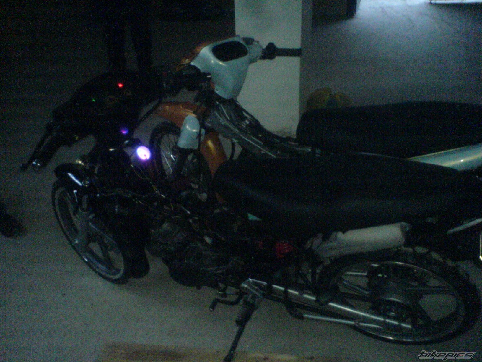 Photo 1552310