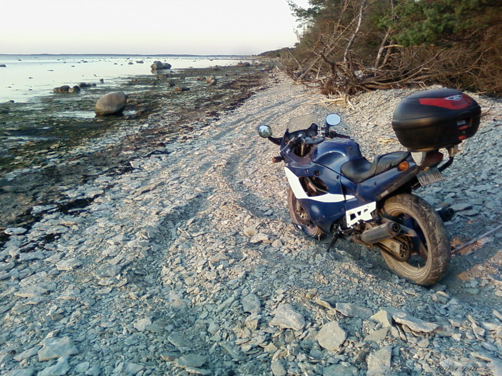 Photo 1552509