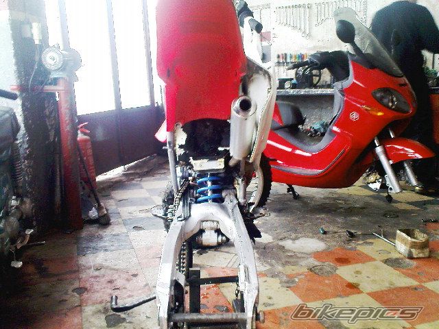 Photo 1552758
