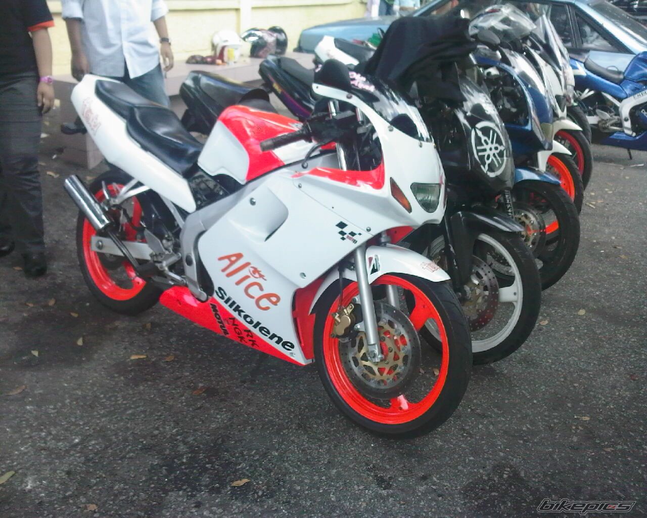 Photo 1552905