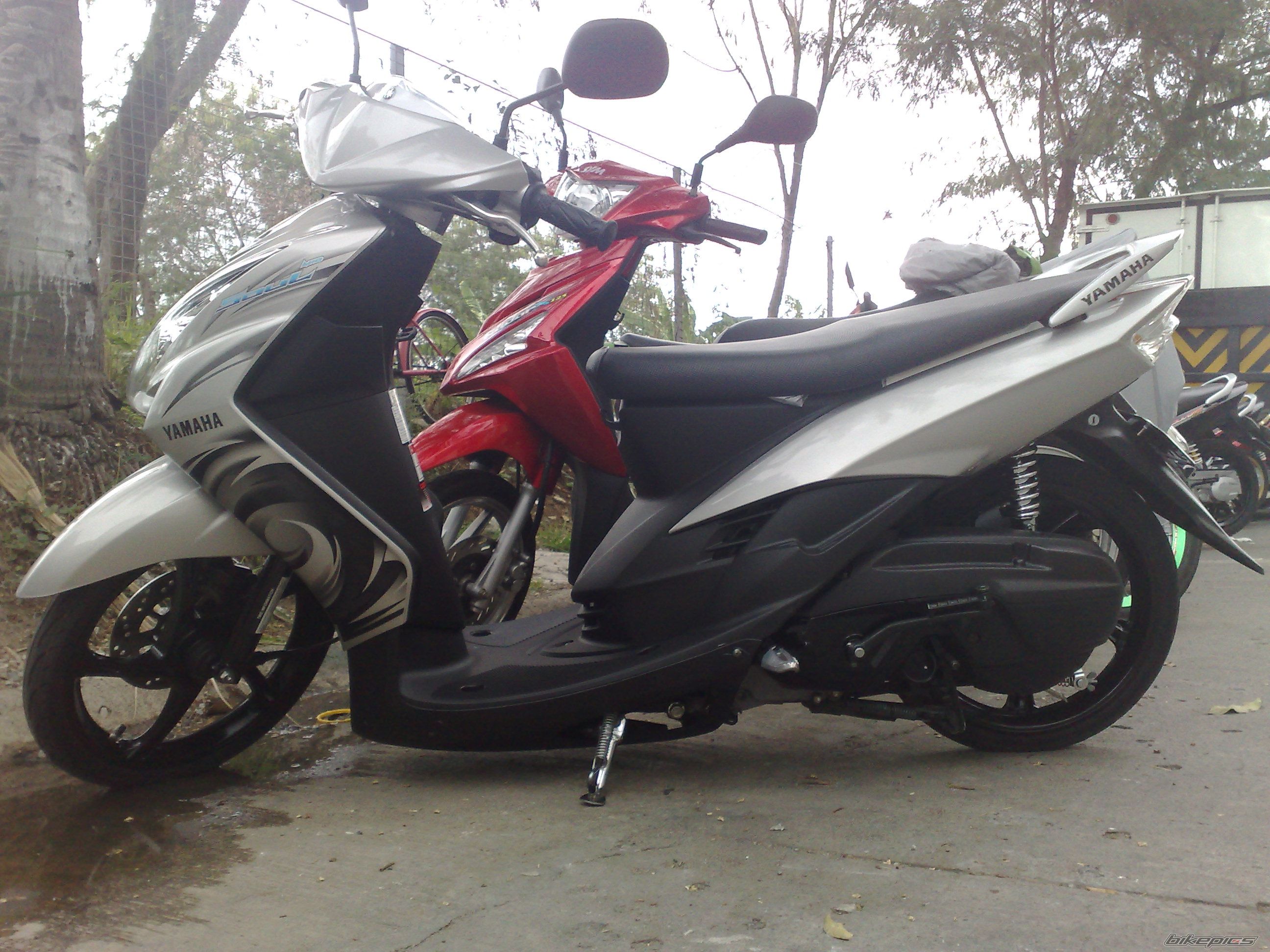 Photo 1552913