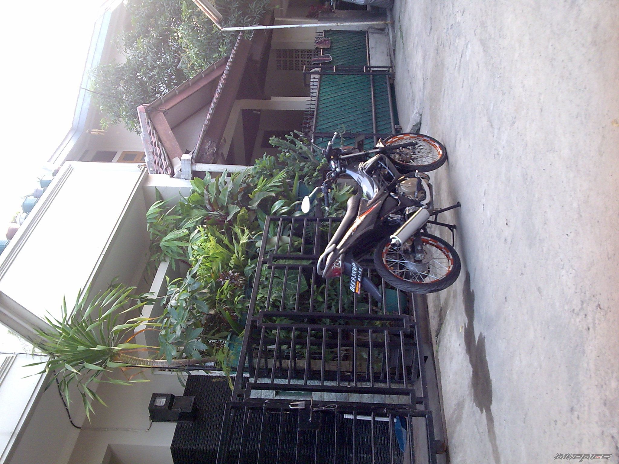 Photo 1552992