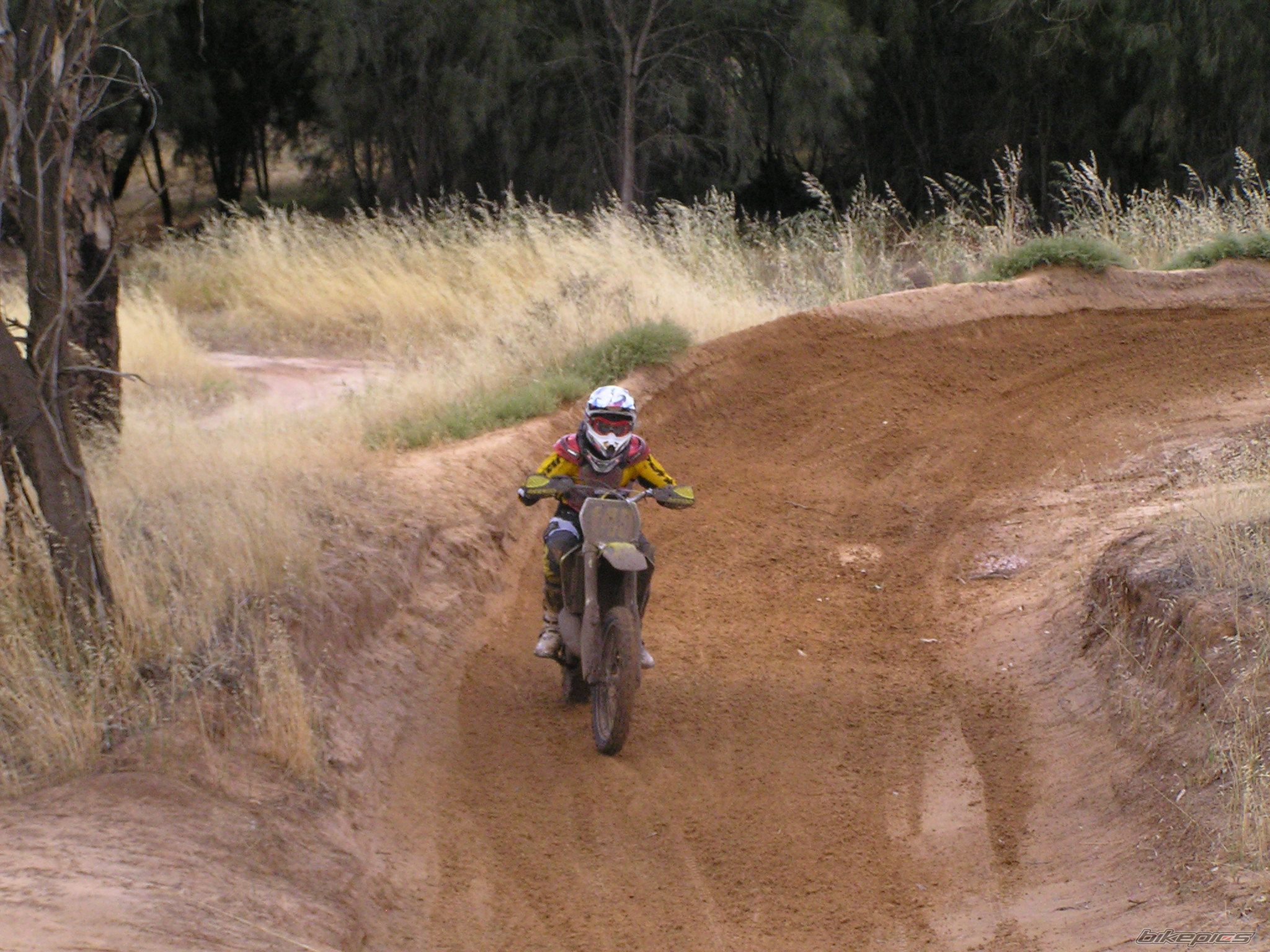 Photo 1553023