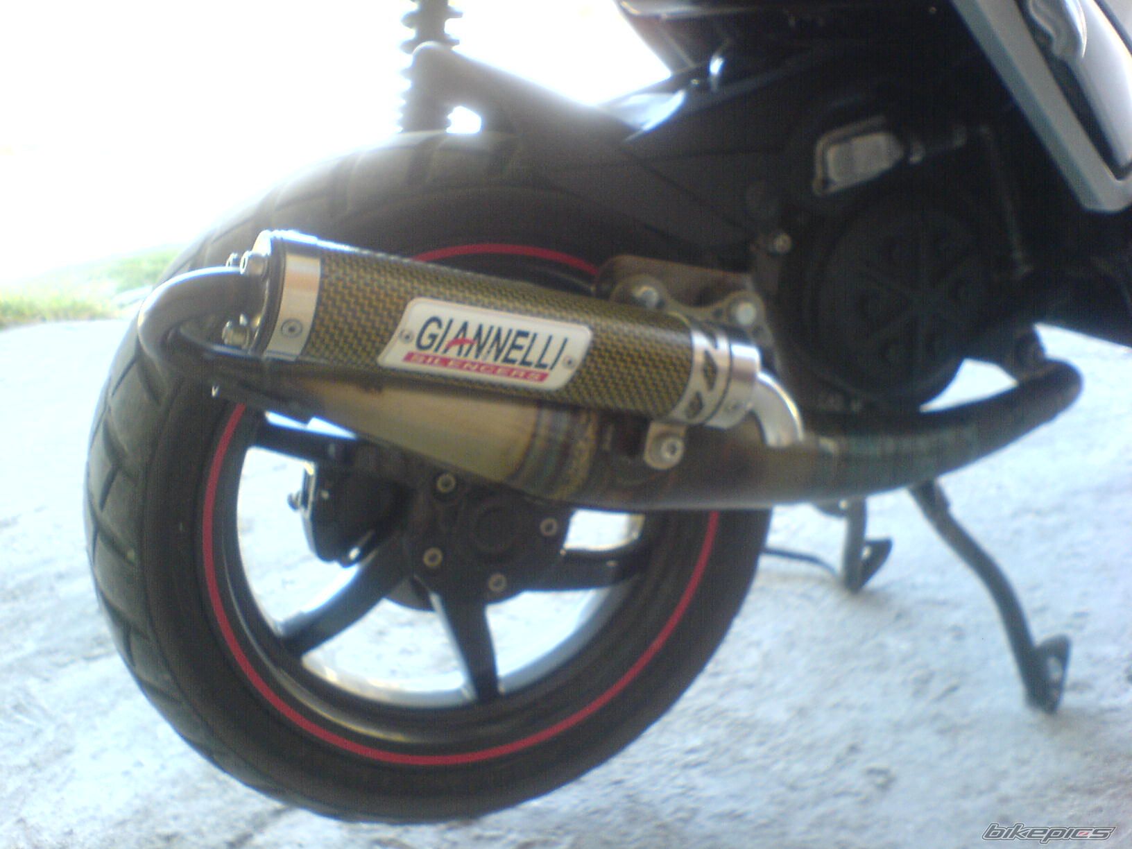 Photo 1553039