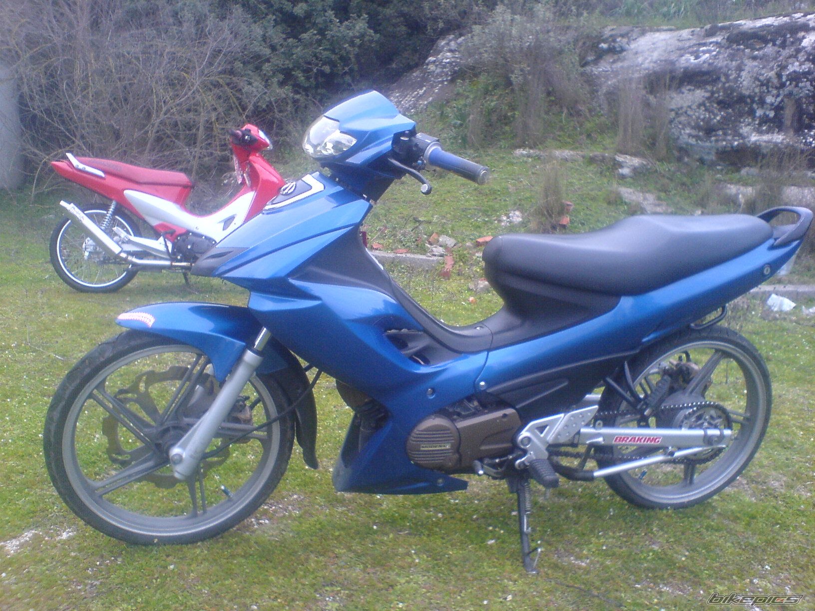 Photo 1553071