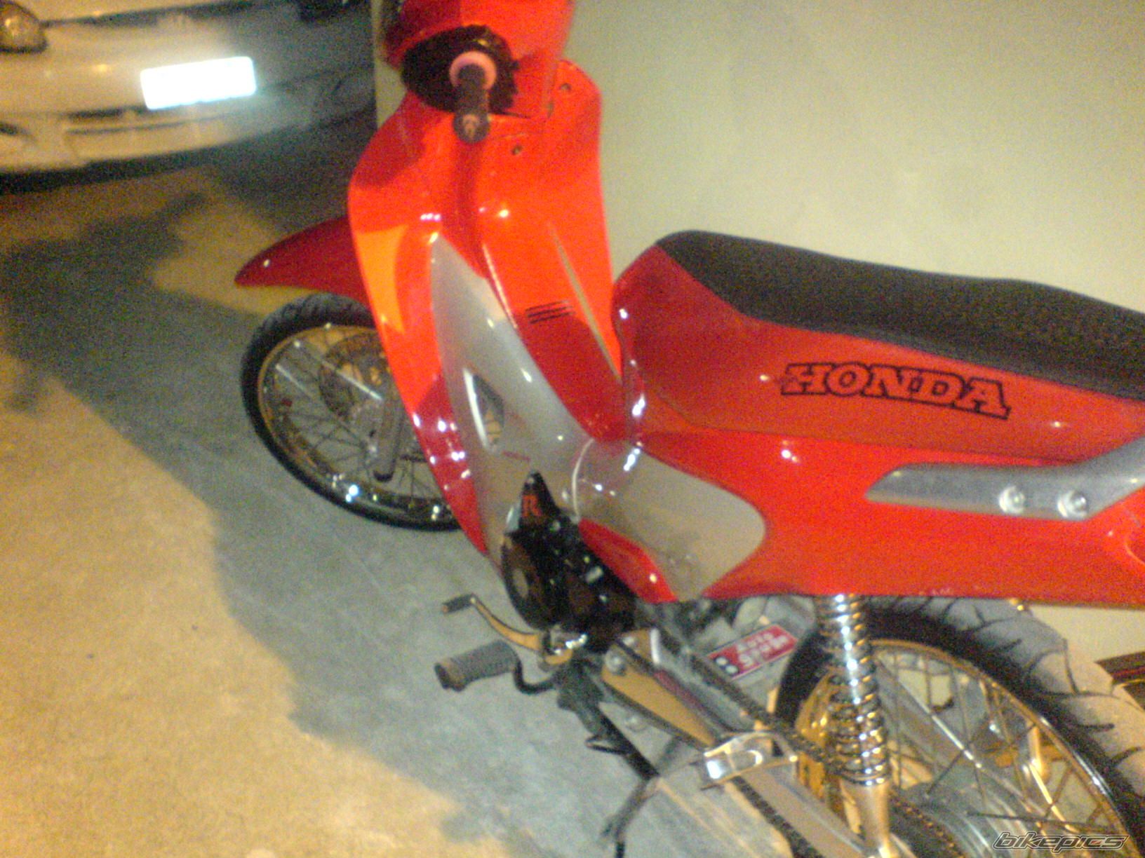 Photo 1553084
