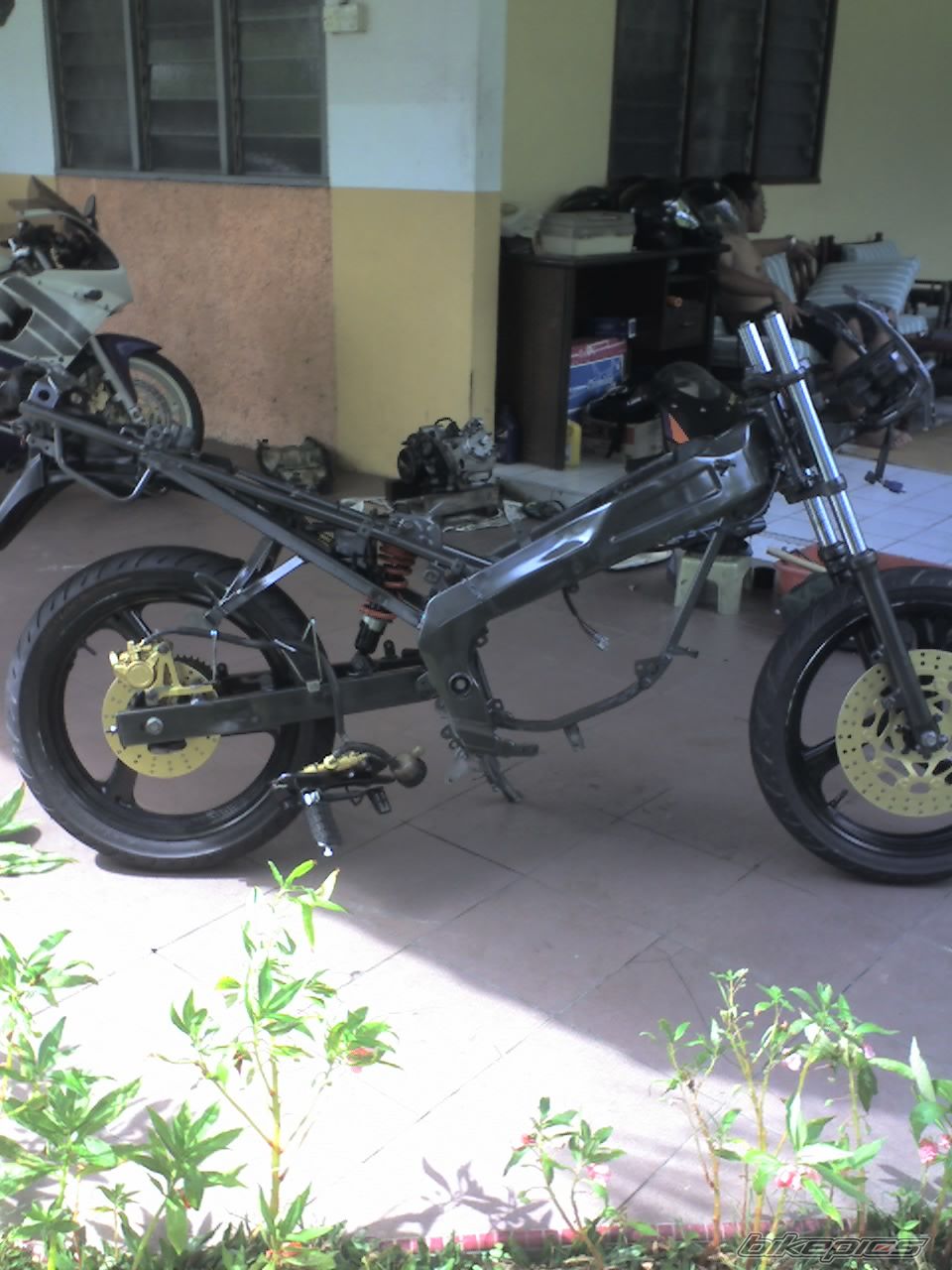Photo 1553128