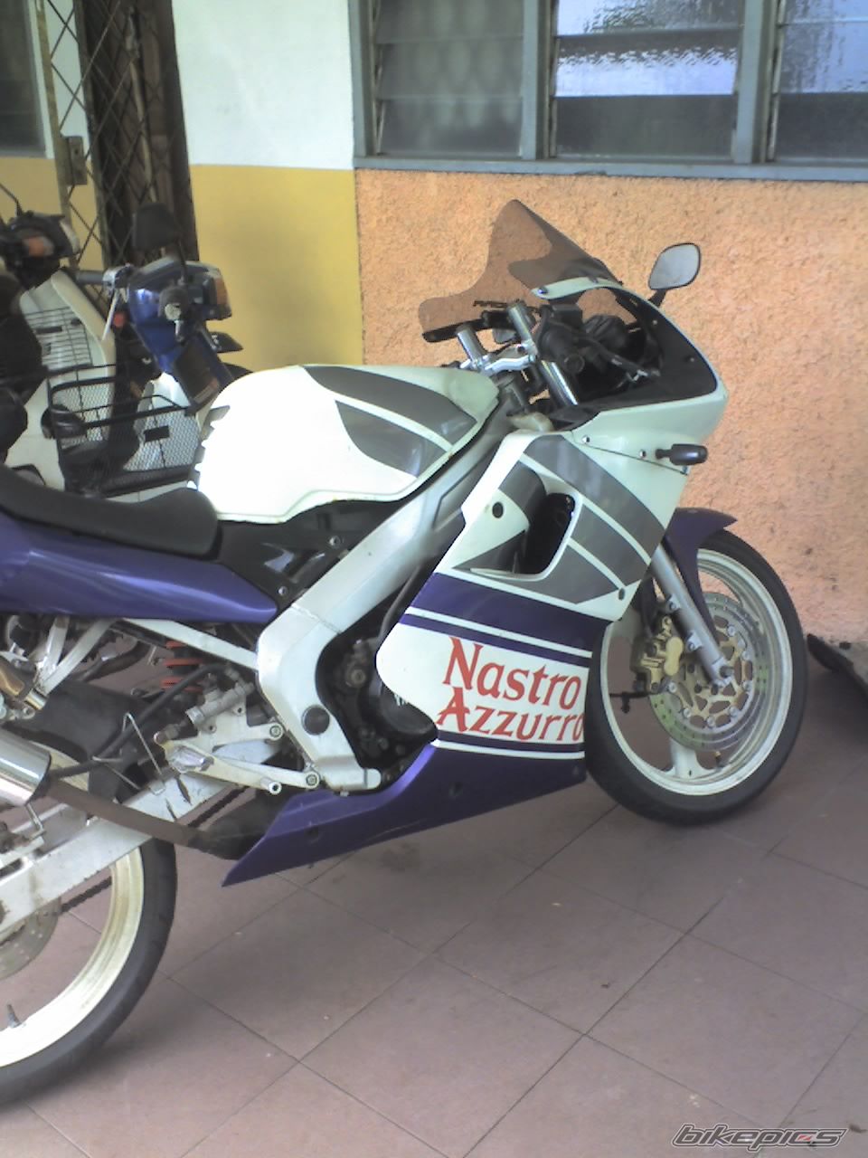 Photo 1553130