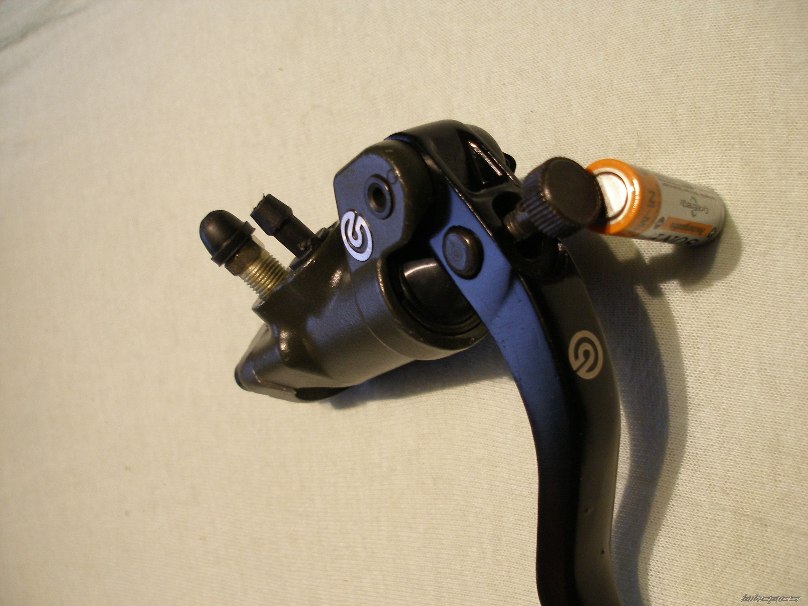 Photo 1553135
