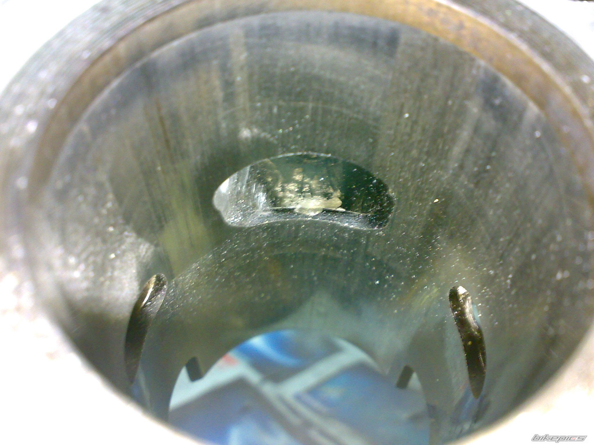 Photo 1553168