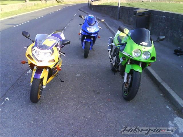 Photo 1553182
