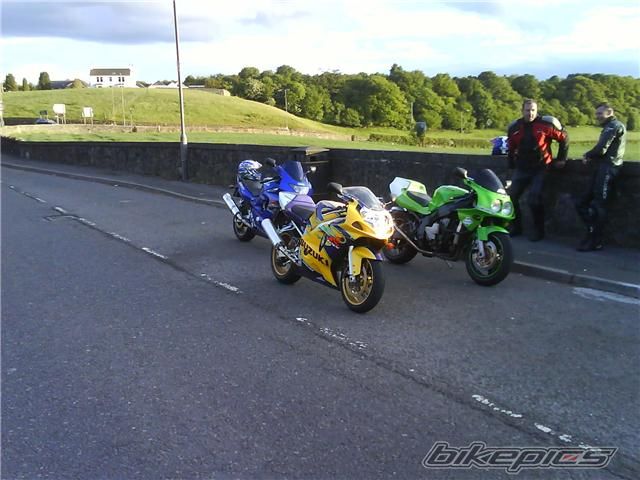 Photo 1553186