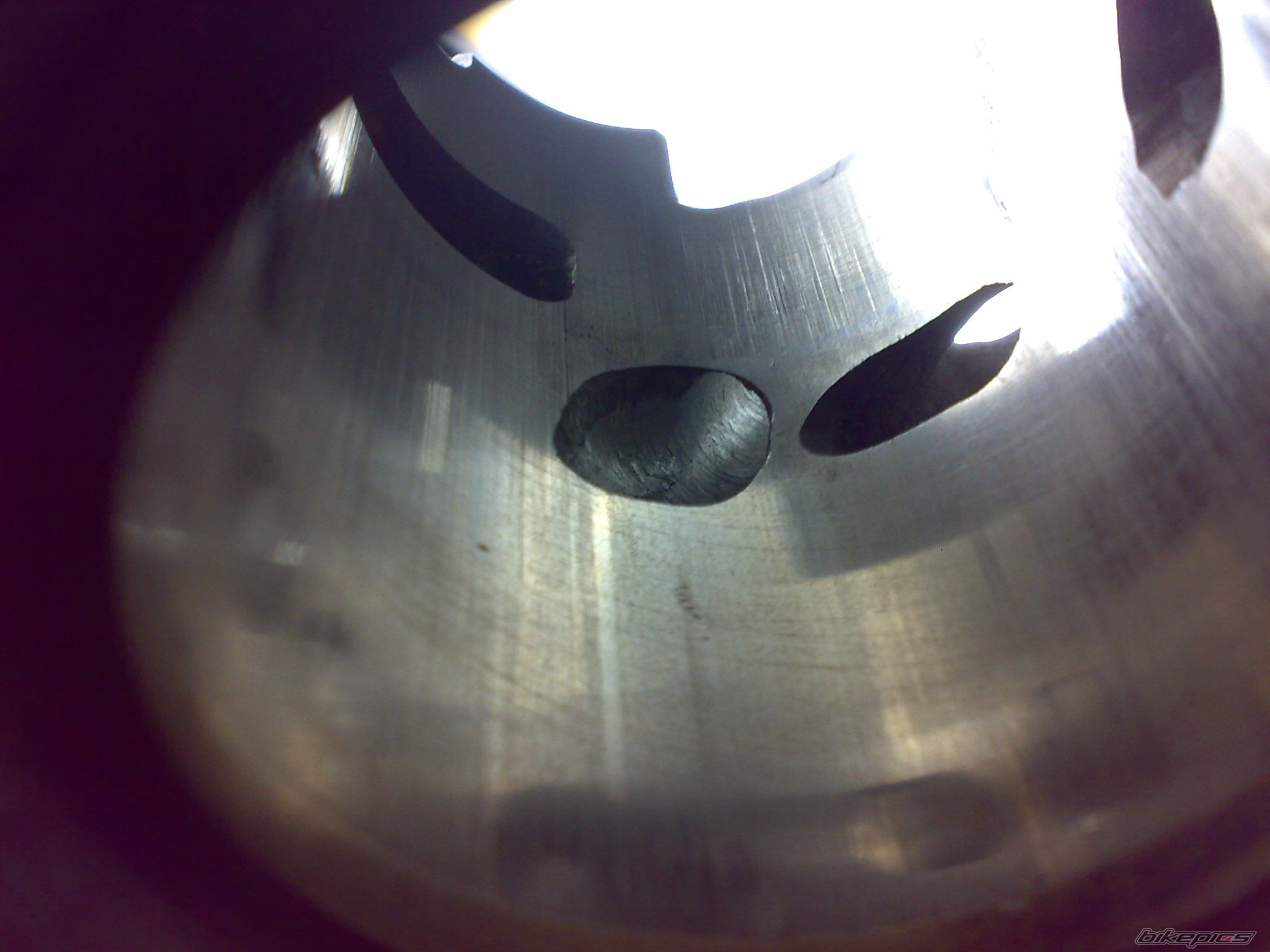 Photo 1553210